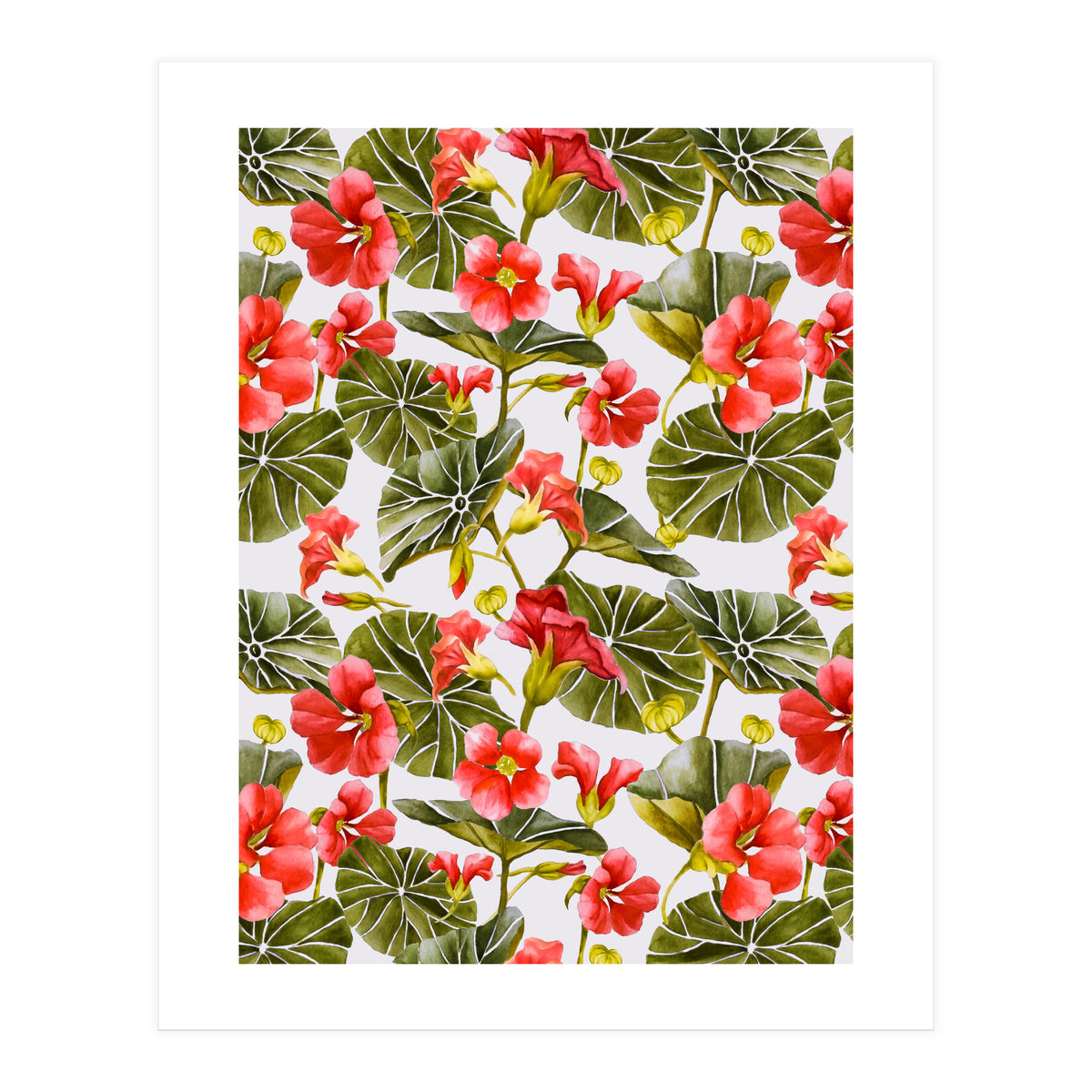 Nasturtiums watercolor 02 (Print Only)