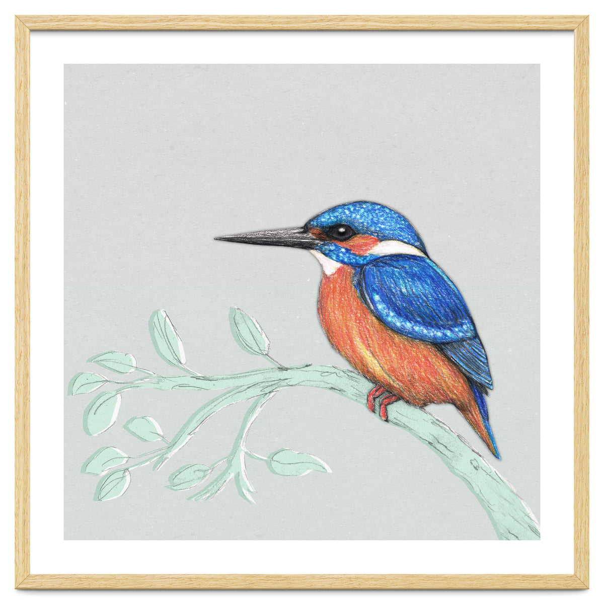 The kingfisher