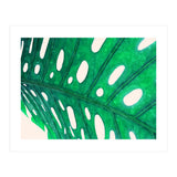 Foliage V2 (Print Only) thumbnail