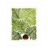 Modern Fern (Print Only) thumbnail