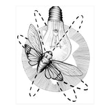 Moth To The Flame (Print Only) thumbnail