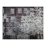 Chelsea Spring  (Print Only) thumbnail