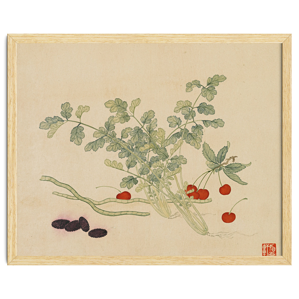 Wang Chengyu~flowers And Vegetables, Vegetables, Fruits, Beans, Red Beans, Cherries, Celery