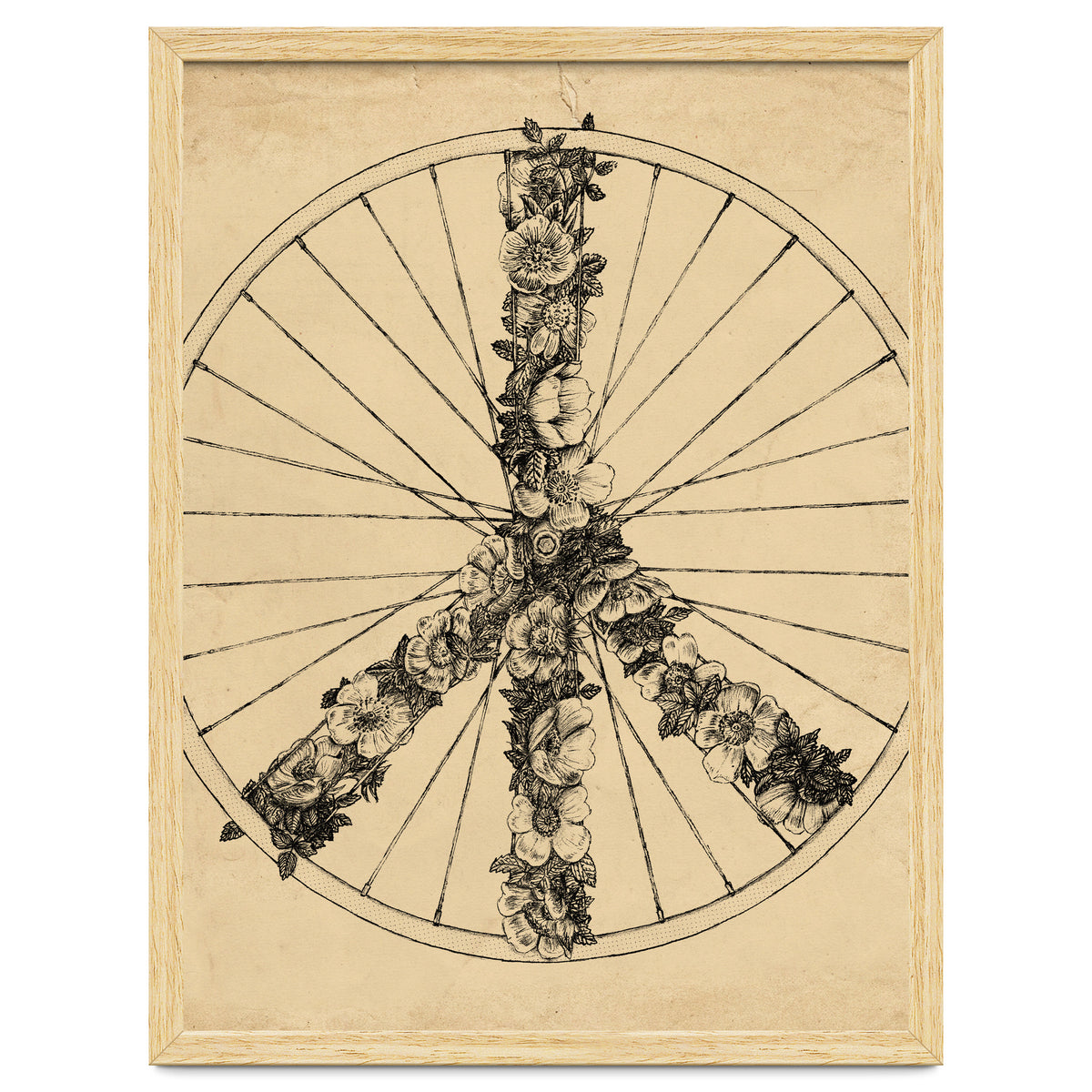 Peace And Bike Lines