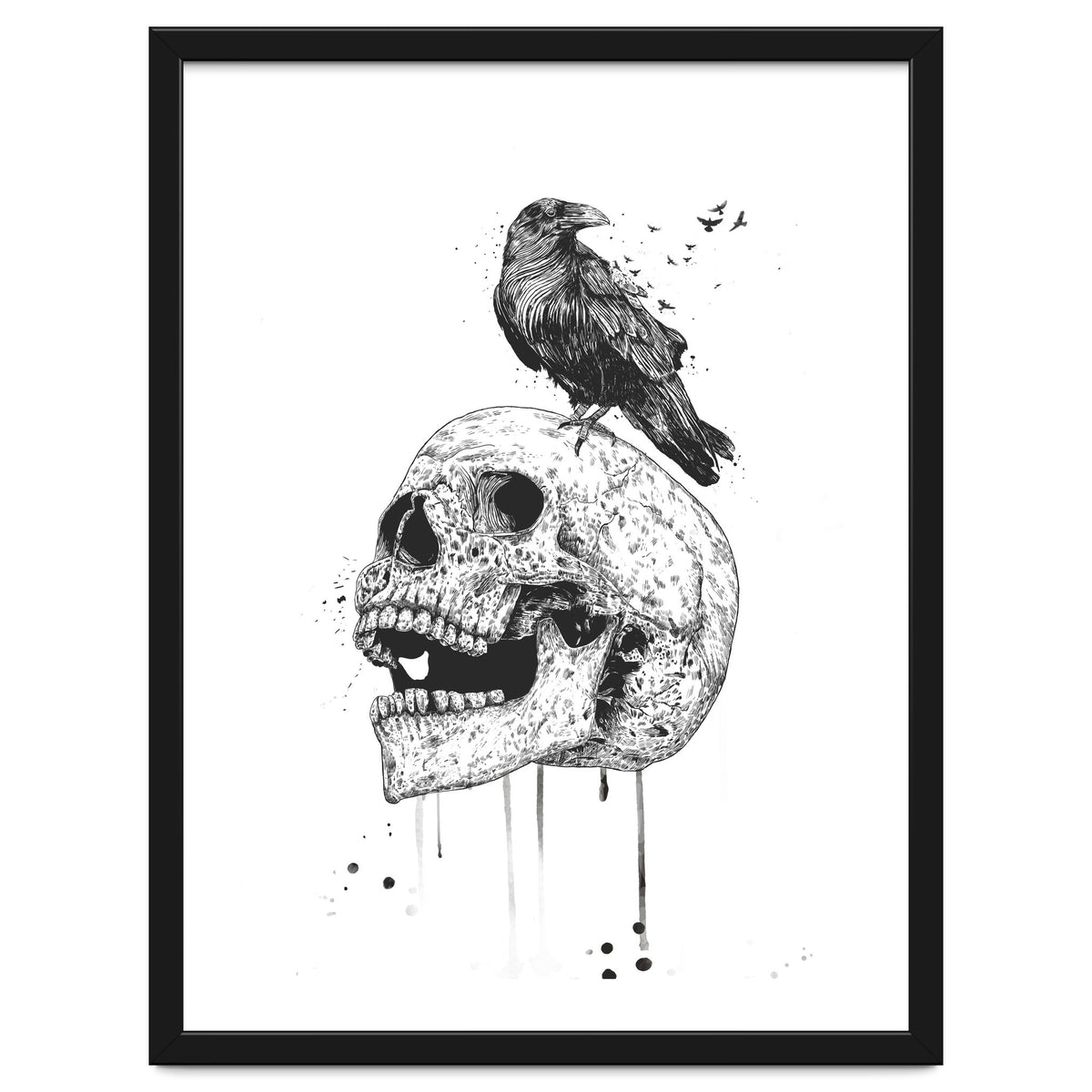 New Skull (bw)