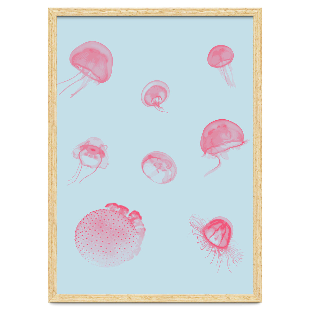 Jellyfish