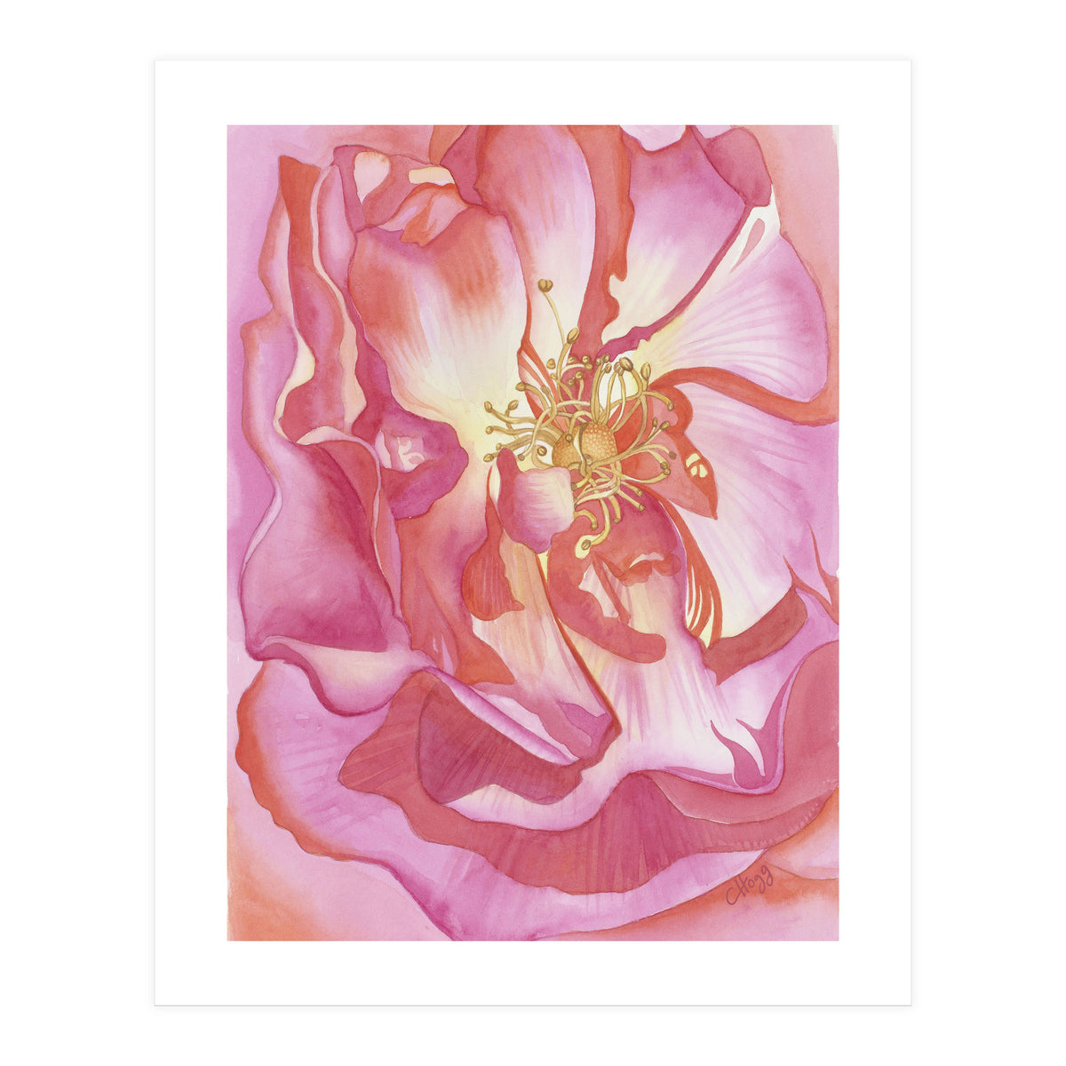 Love Is A Rose (Print Only)