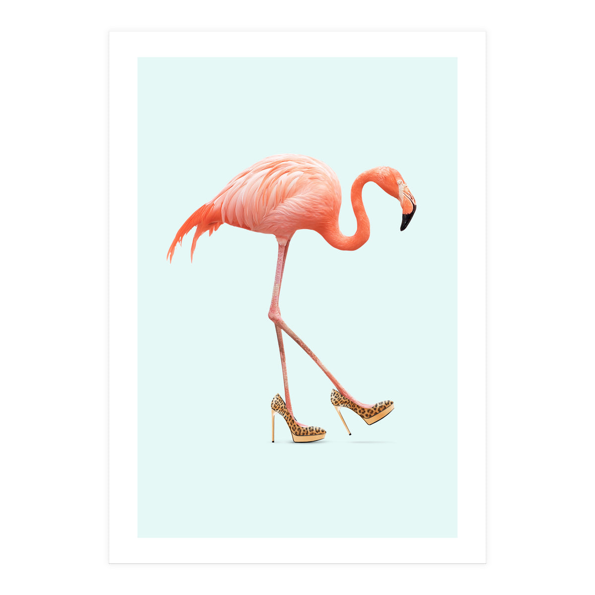 Fancy Flamingo (Print Only)