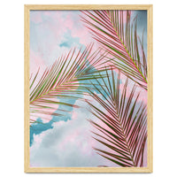 Palms + Sky