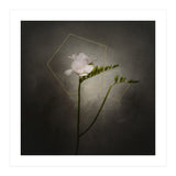 Graceful flower - Freesia | vintage style gold  (Print Only) thumbnail