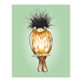 Brahminy starling (Print Only) thumbnail