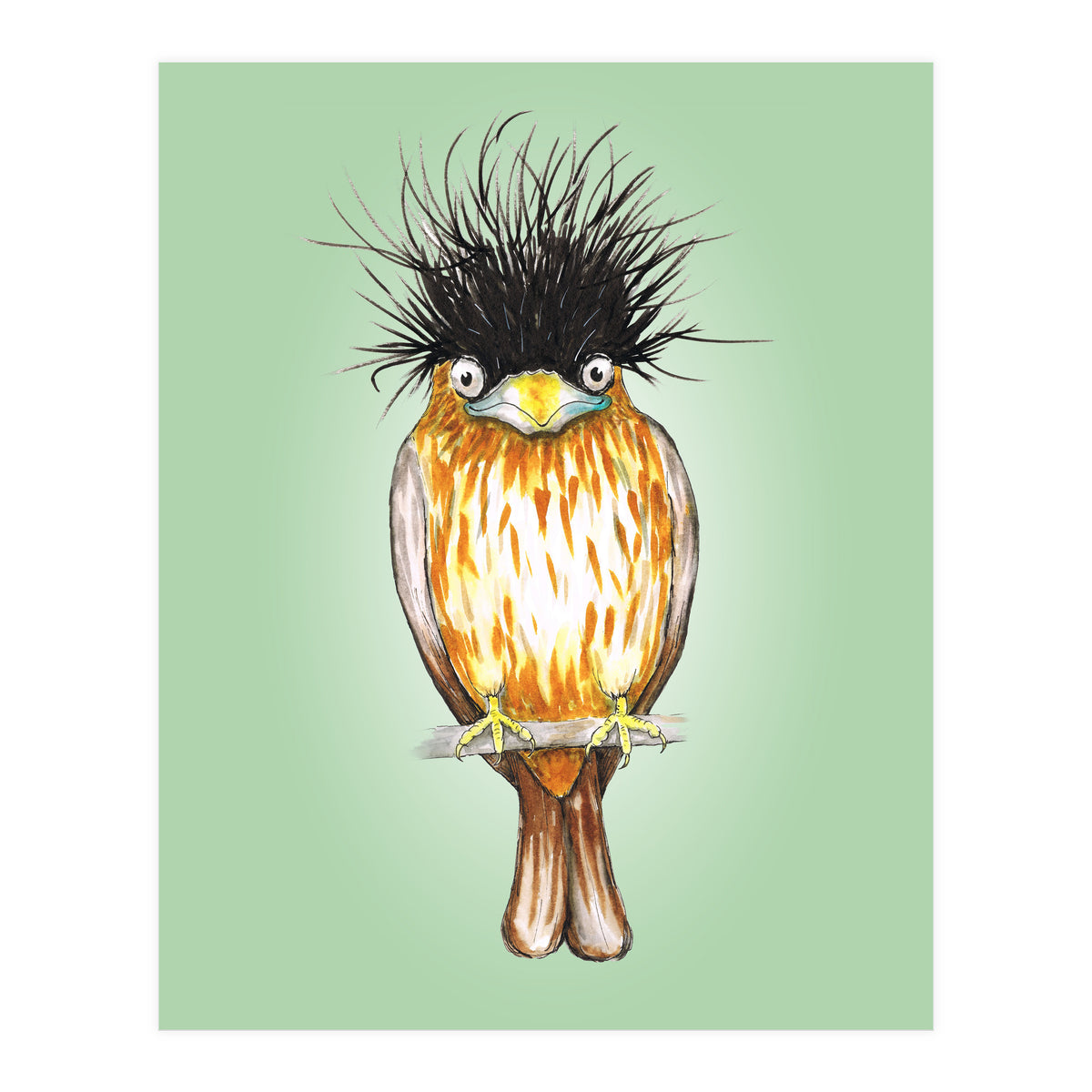 Brahminy starling (Print Only)