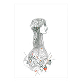 Anatomy (Print Only) thumbnail