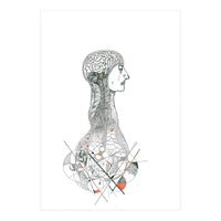 Anatomy (Print Only)