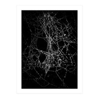 Spiderweb No 4 (Print Only)