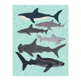 Sharks (Print Only) thumbnail