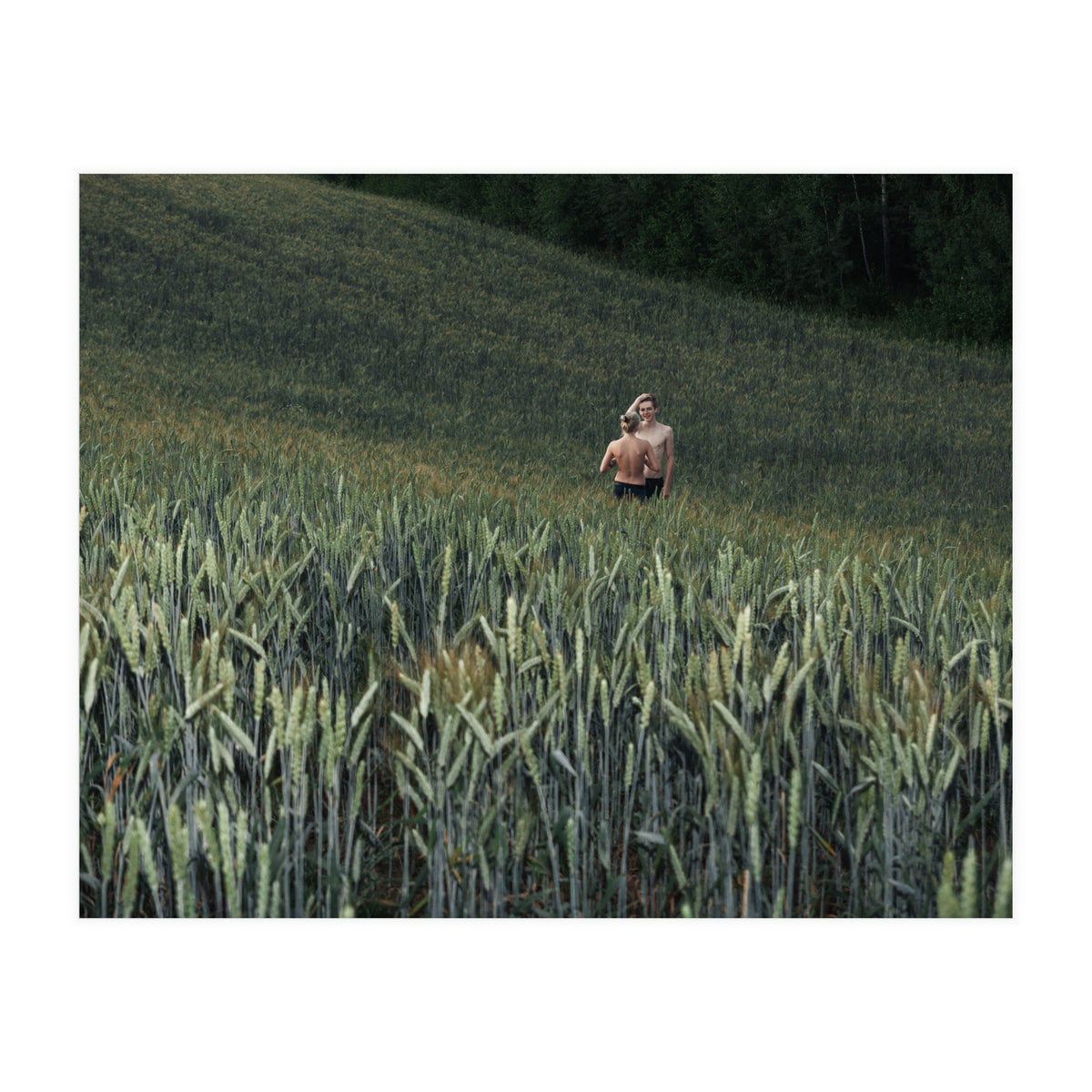 Logical Fallacy (Print Only)