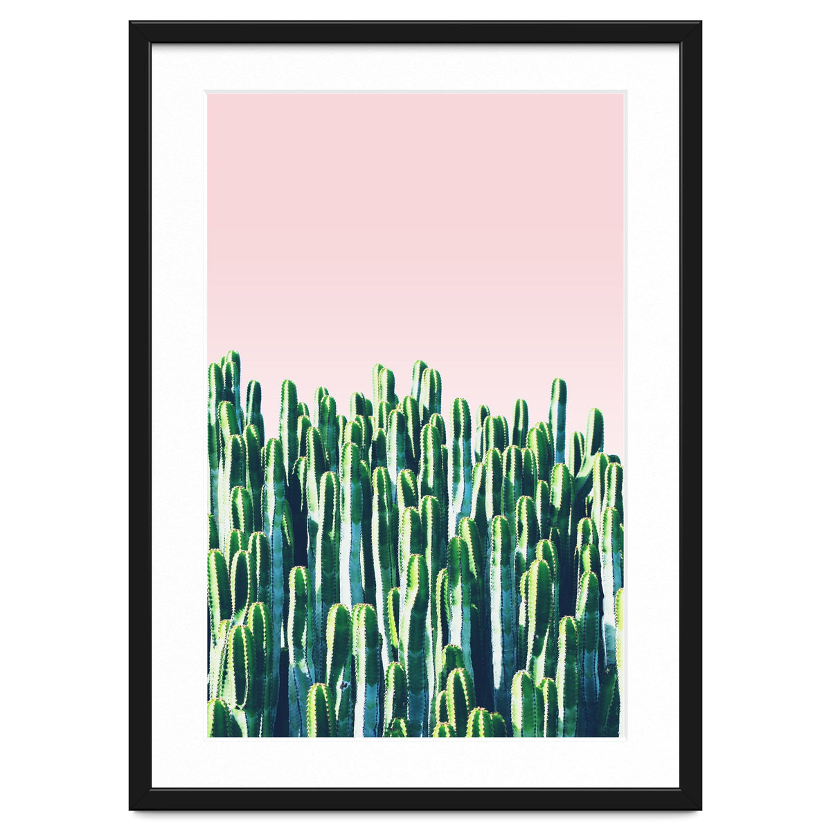 Cactus & Sunset I