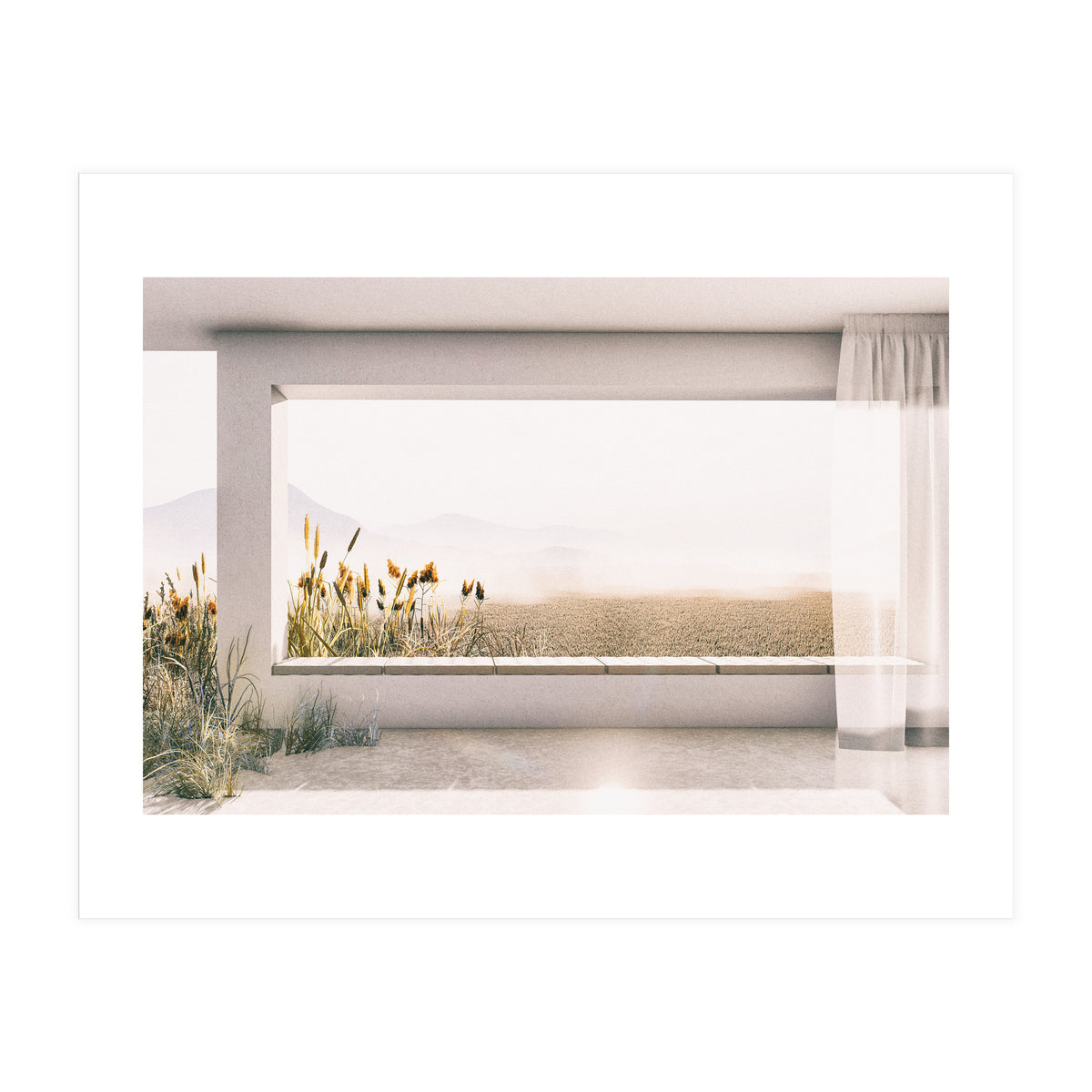 GRASS BY THE WINDOW (Print Only)