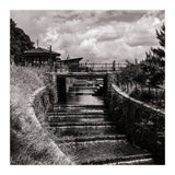 Crossing the Weir (Print Only) thumbnail