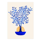 Indigo Ficus Sunrise (Print Only) thumbnail