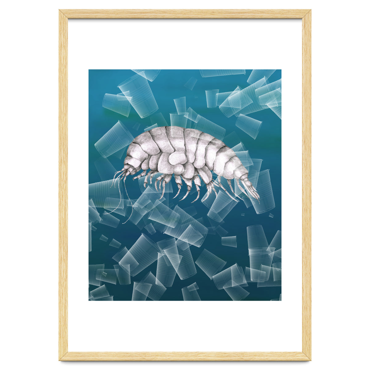 Eurythenes Plasticus