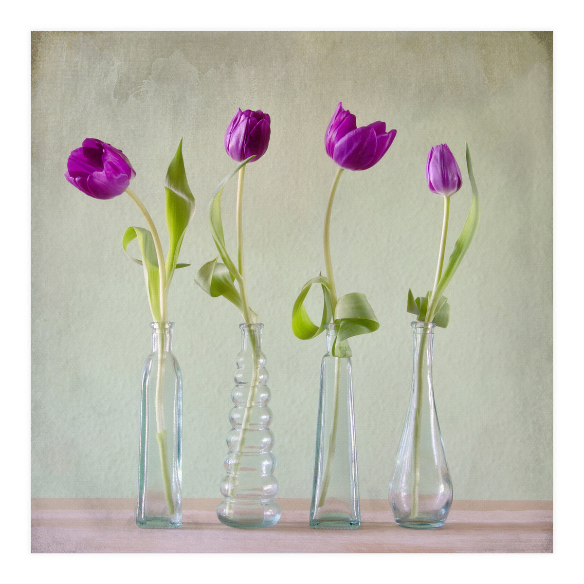 Tulips (Print Only)