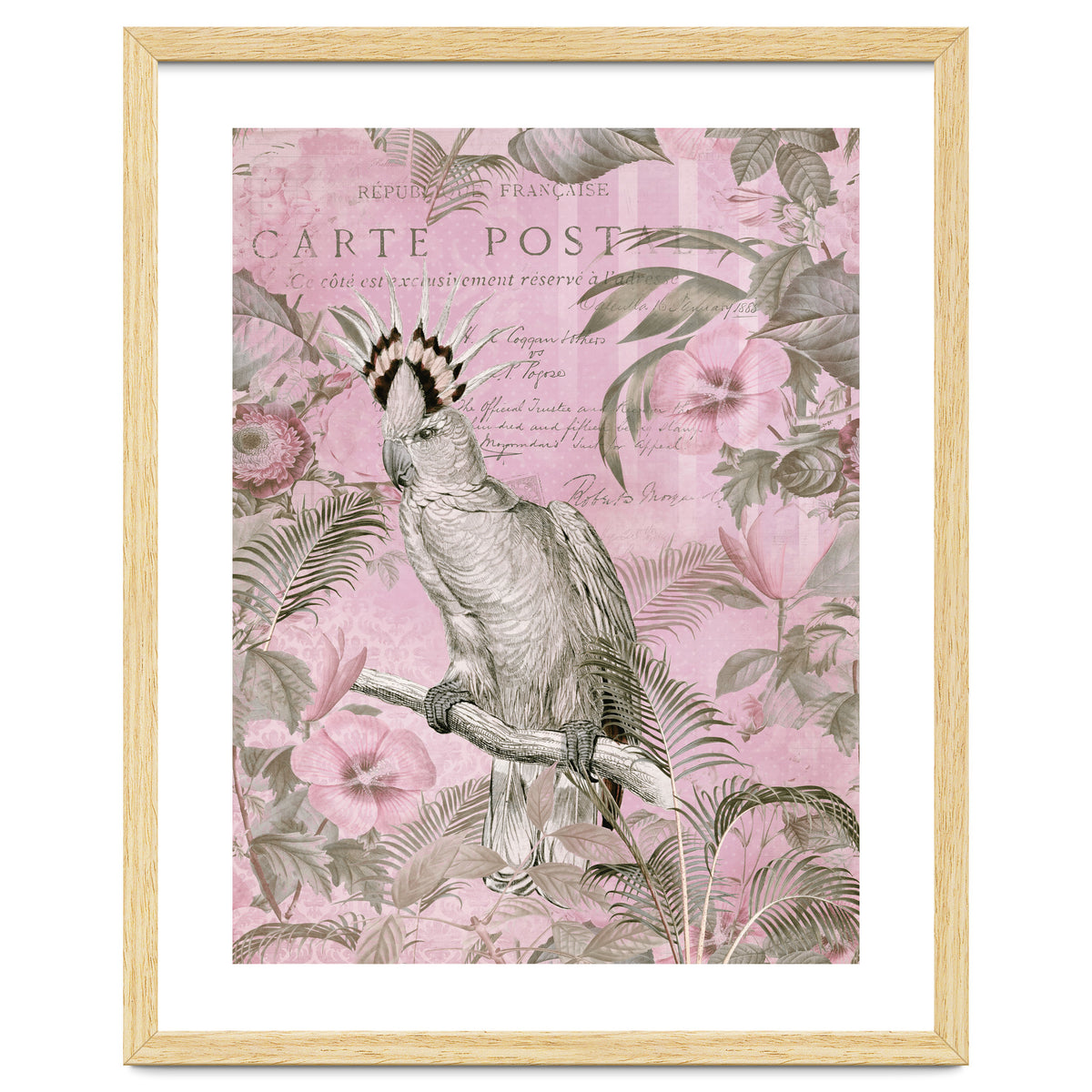 Jungle Cockatoo Pink