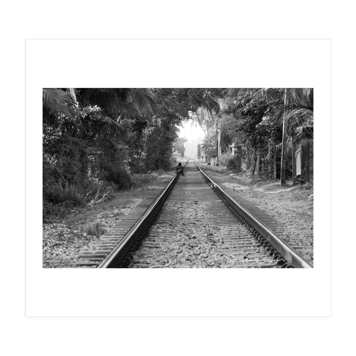 Colombo, Sri Lanka (Print Only)