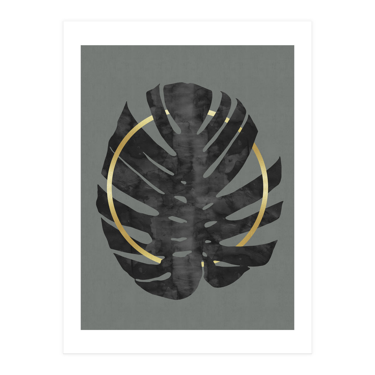 Monstera Deliciosa I (Print Only)