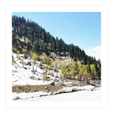 Kashmir V2 (Print Only) thumbnail