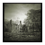 Gesto House (Print Only) thumbnail