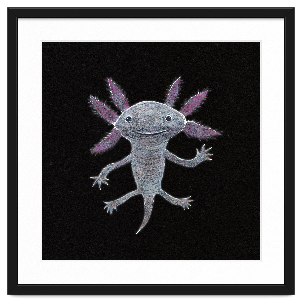 Axolotl