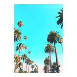 OC (Print Only) thumbnail