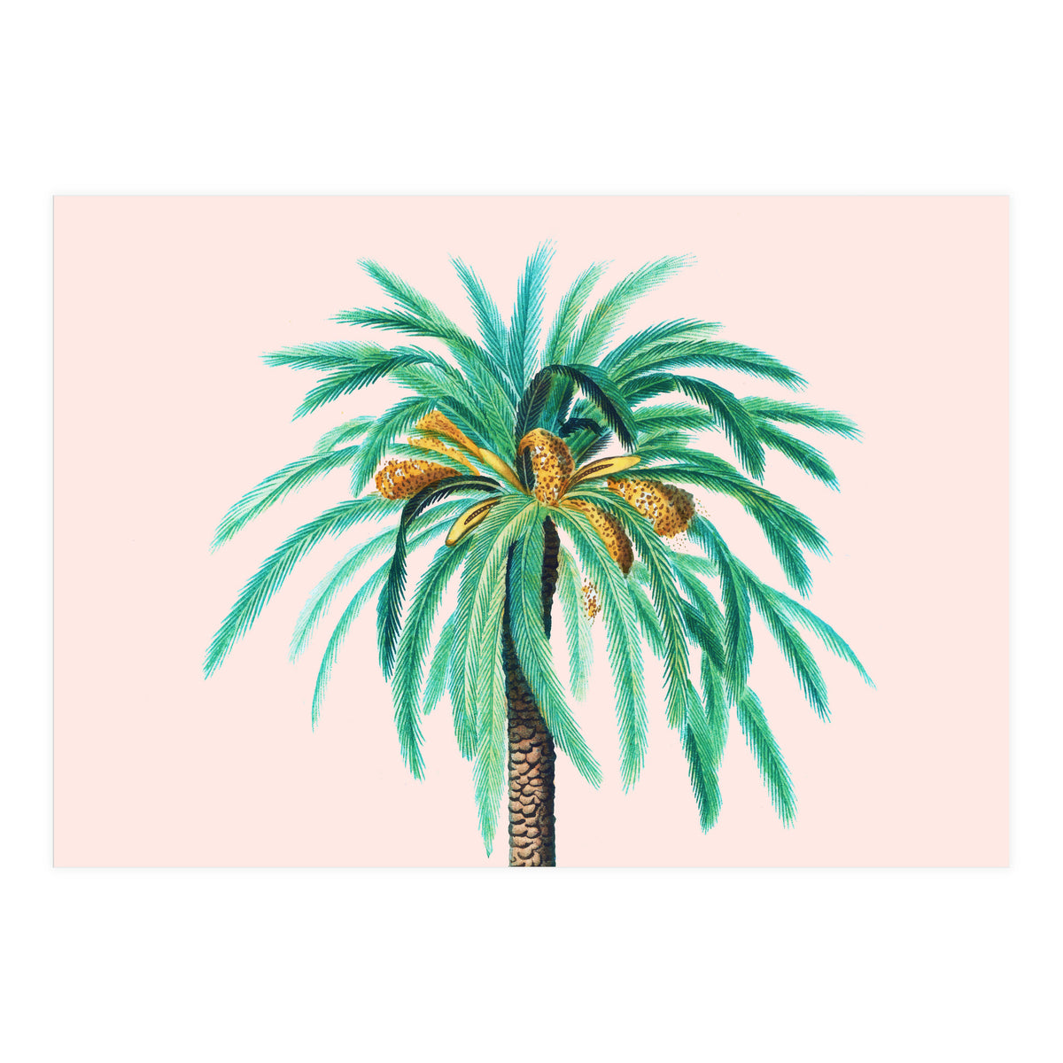 Coconut Island (Print Only)