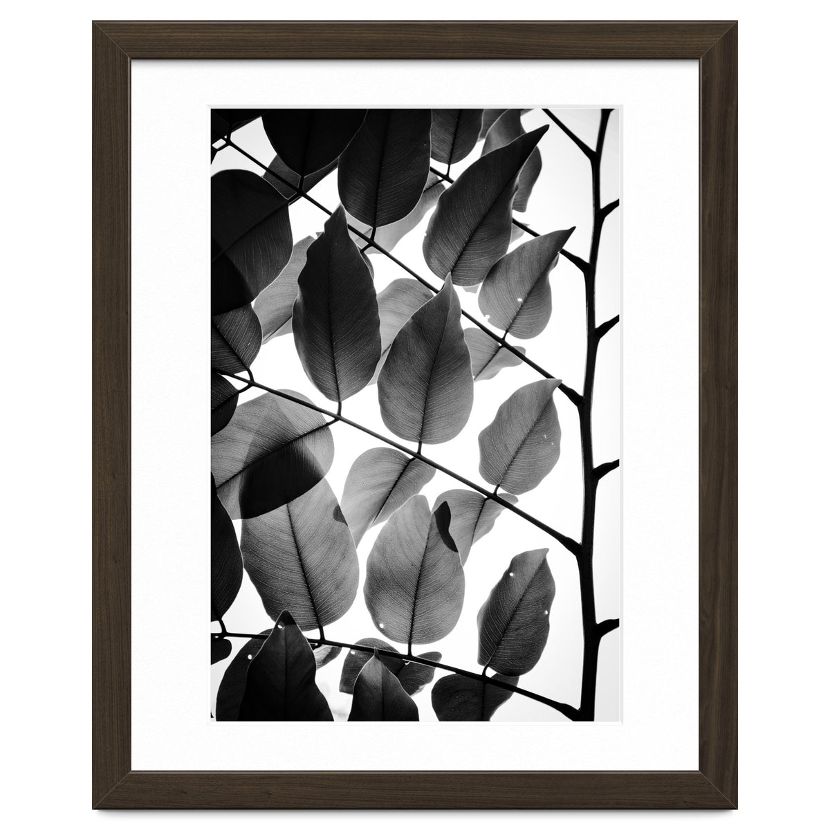 Branches and Leaves II