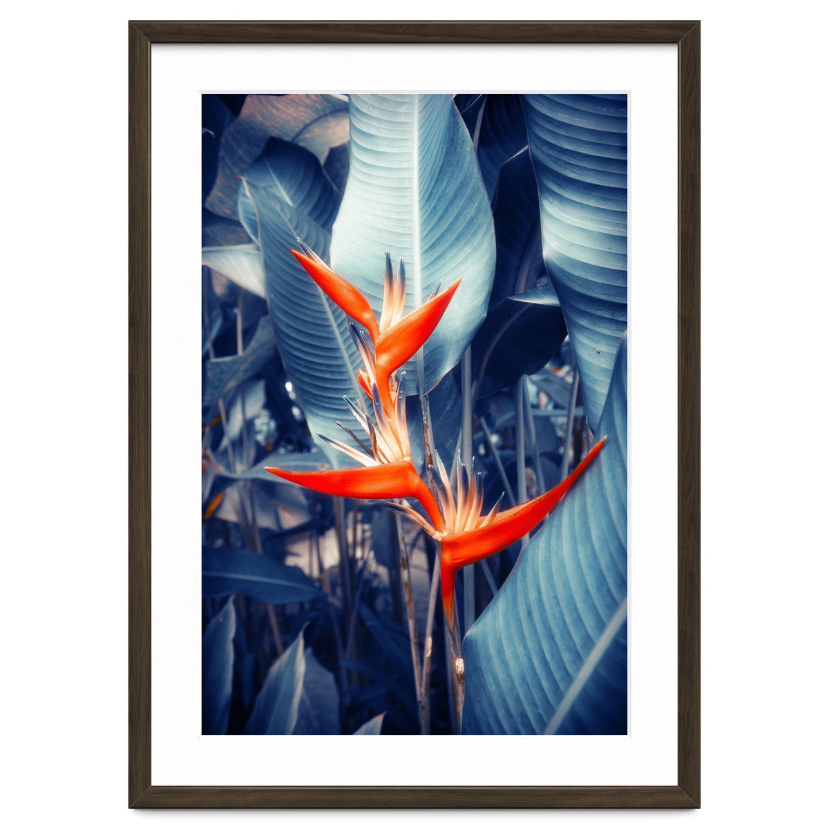 Parakeet Tropical Flower