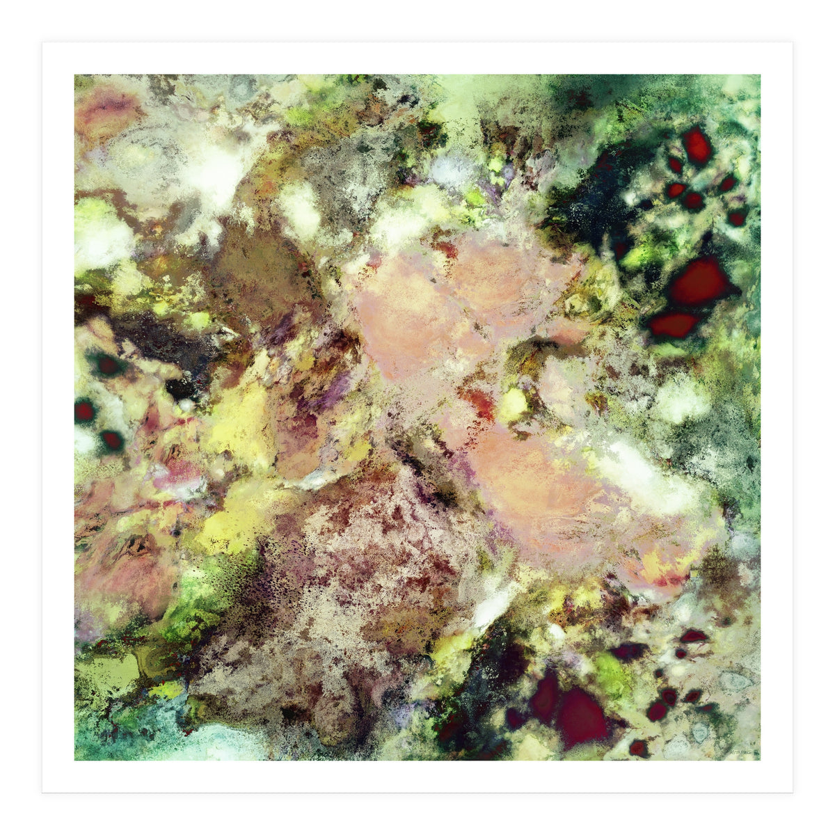 Sugar Coated (Print Only)