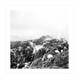46 (Print Only) thumbnail