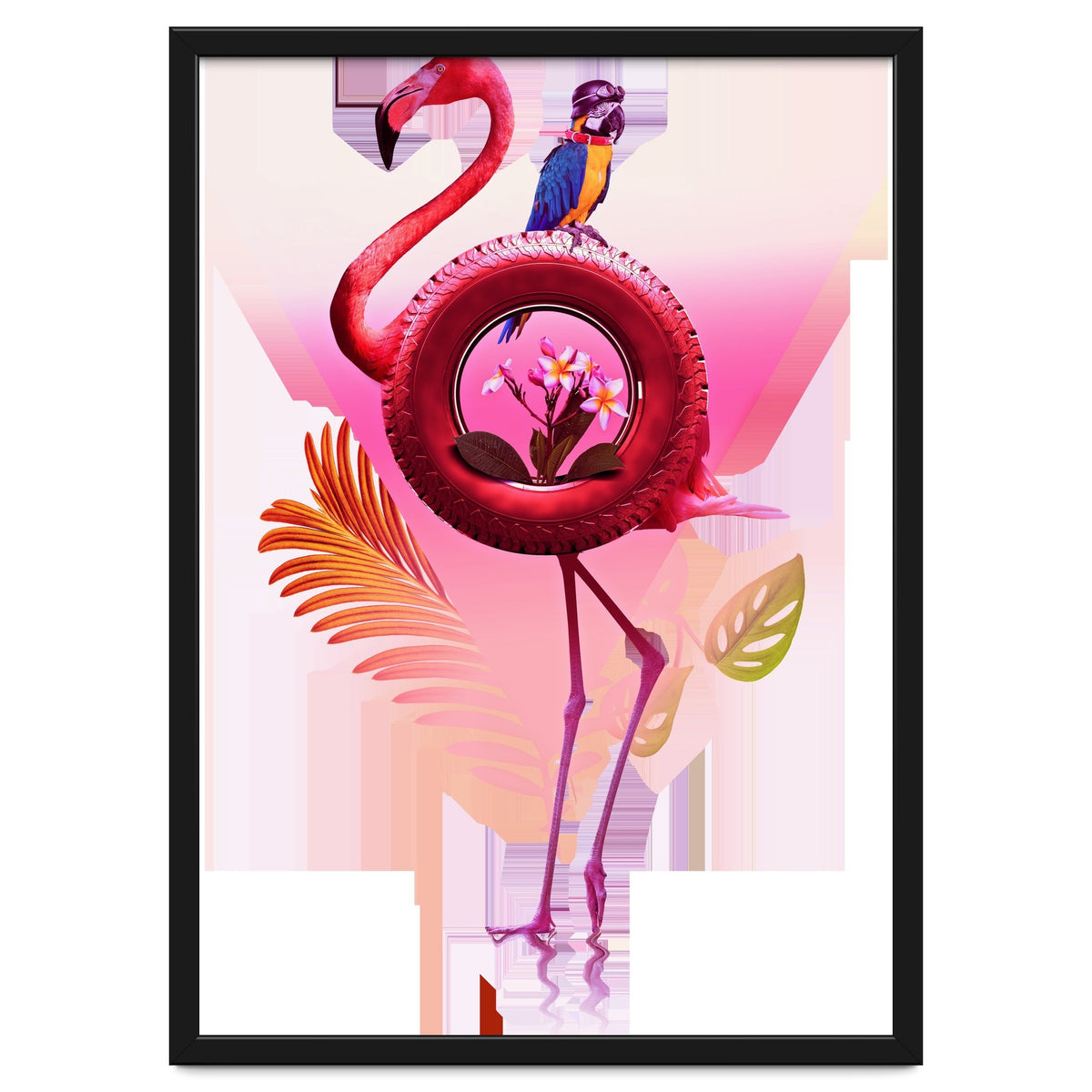 Flamingo