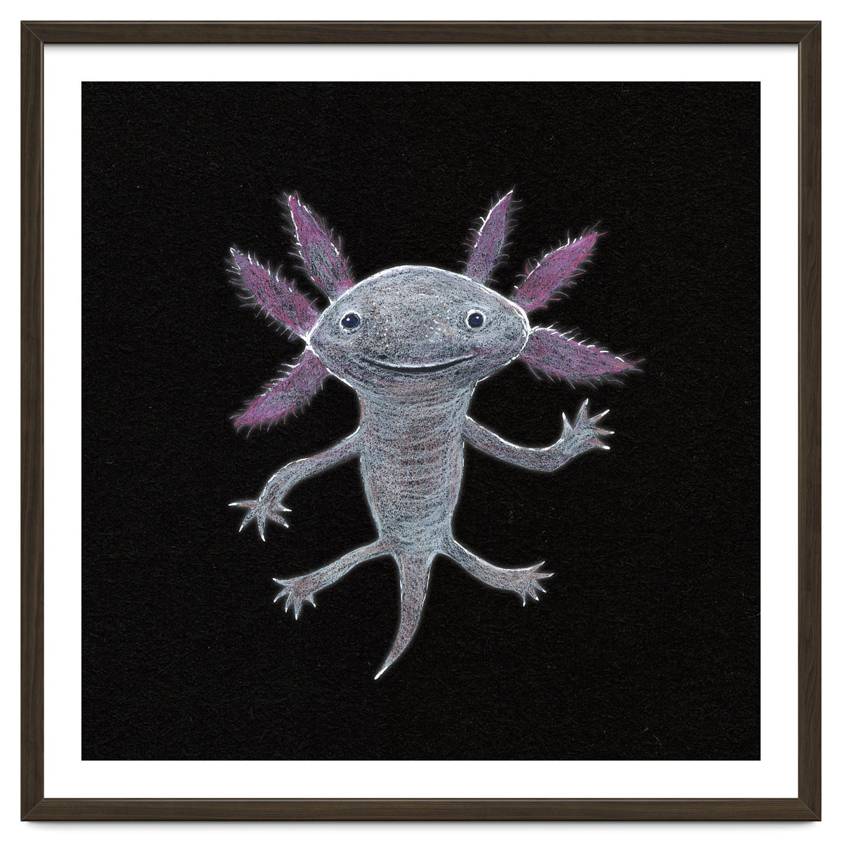 Axolotl