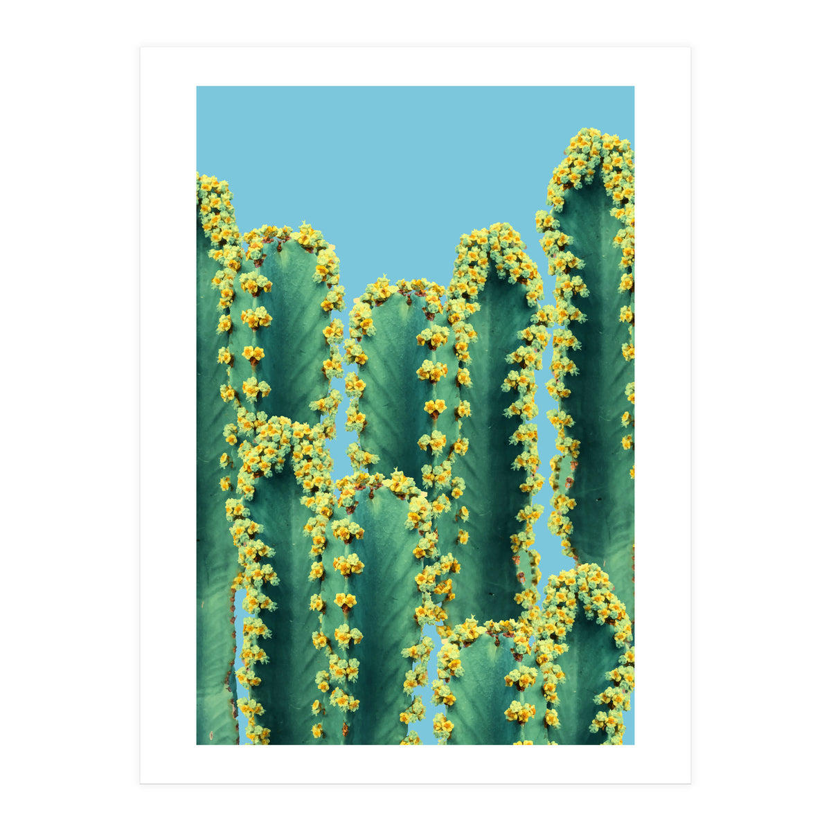 Adorned Cactus V2 (Print Only)
