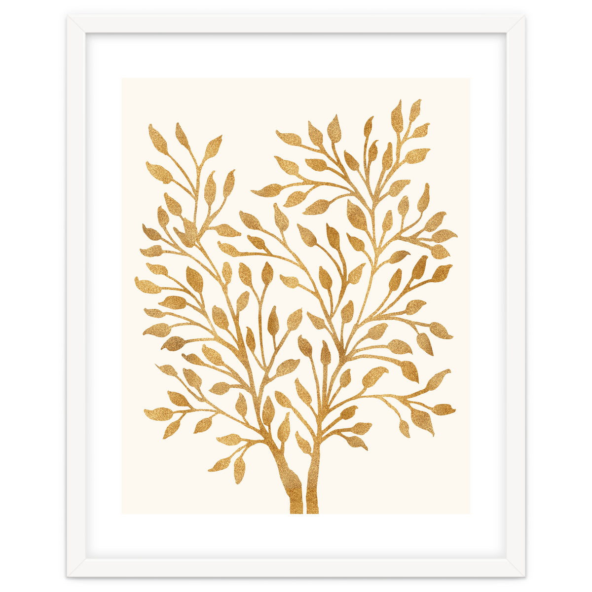 Golden Ficus 4x5