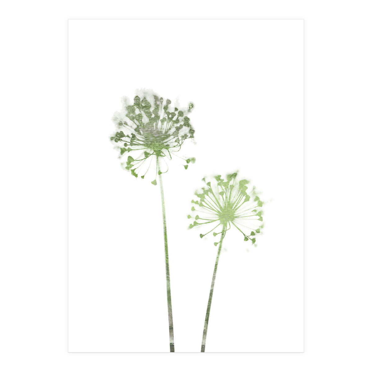 Olive Green Dandelion (Print Only)