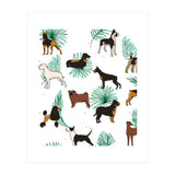 Miracles With Paws (Print Only) thumbnail