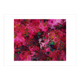 Rose  (Print Only) thumbnail