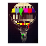 No Signal (Print Only) thumbnail