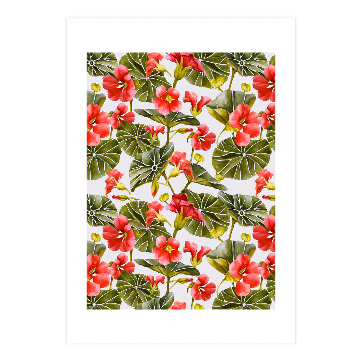 Nasturtiums watercolor 02 (Print Only)