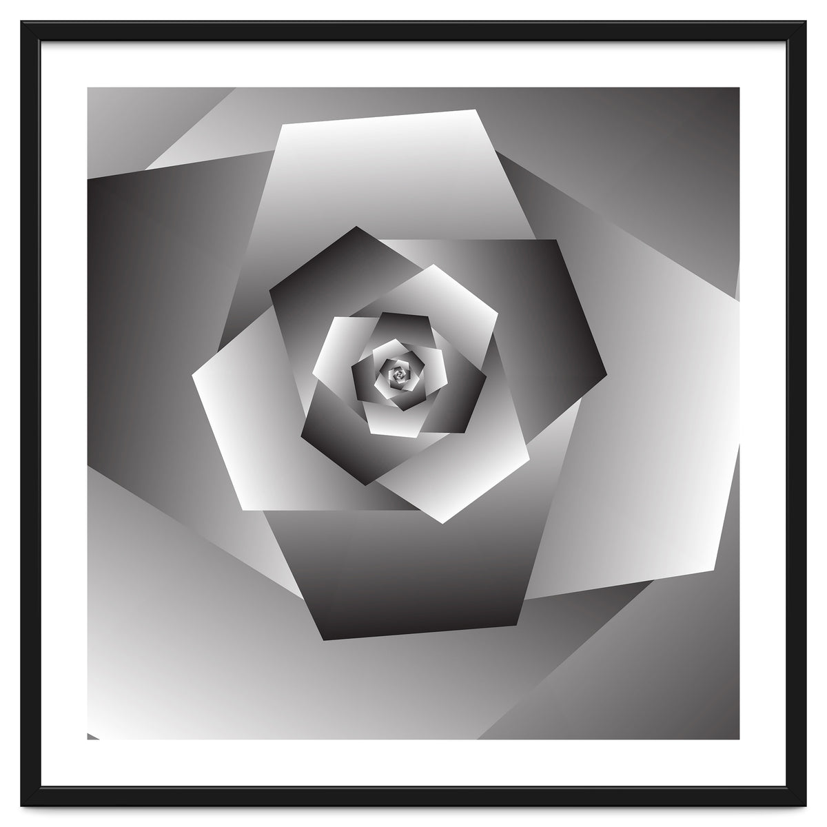 Monochrome Rose Spiral