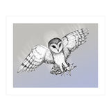 Attacking barn owl (Print Only) thumbnail